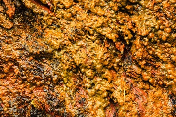 Background of orange wet stone rock wall texture outdoor