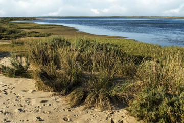  famous natural Ria Formosa marshlands