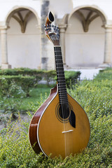 traditional Portuguese guitar