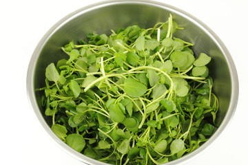 Watercress in a Stainless Steel Bowl