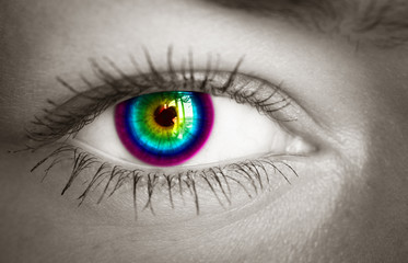 Colorful eye close-up. Toned image.