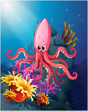 A big squid under the sea with the corals