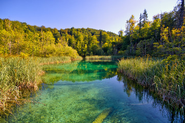 Fototapeta na wymiar Transparent river in Plitvice, Croatia