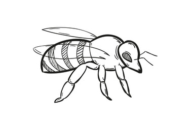 one bee