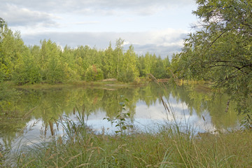 Fototapeta na wymiar A walk on a summer morning in the forest lake.