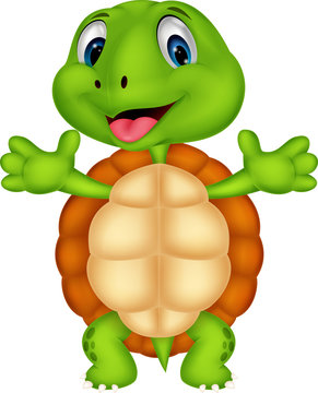 Cute turtle cartoon posing