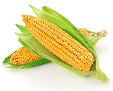 Raw corn vegetable