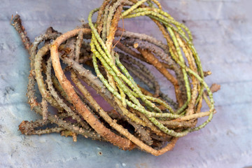 Bitter herbs tied together at the market.