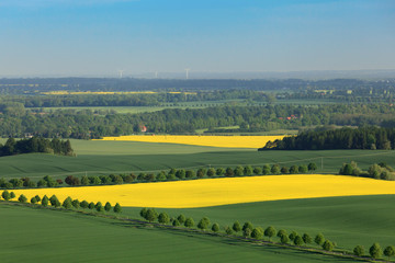 Luftaufnahme Landschaft Wiese und Rapsfeld