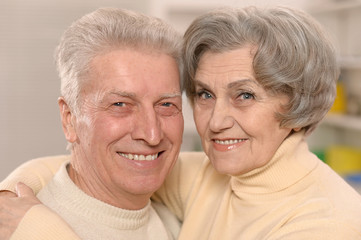 Portrait of a happy senior couple