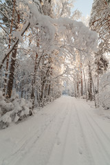 Obraz premium Winter wood road.