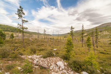 Larches in a mountain valley. East Sayan mountains.