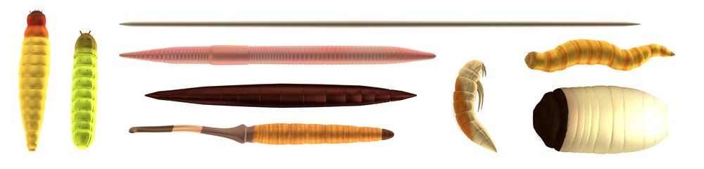 realistic 3d render of worms