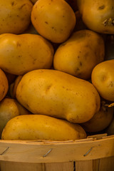 Fruits and vegetables stall in La Boqueria,
