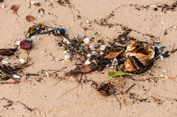 Garbage on the beach
