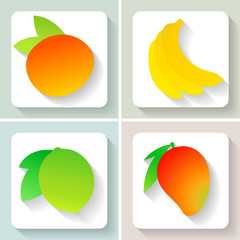Set of flat design fruit icons. Vector illustration.