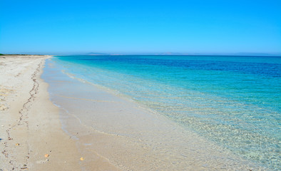 Fototapeta premium Fiume Santo shore