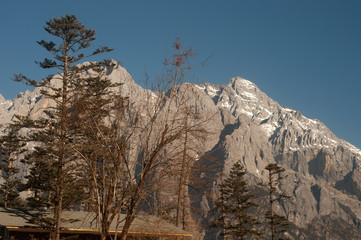 Jade Dragon snow mountain with forest  in blue sky .