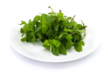 Pepermint on dish white background