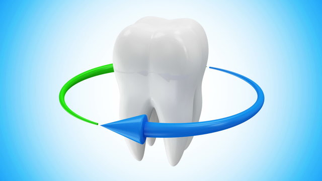 Tooth Rotation with Arrows. HQ Looping Video Clip with Alpha