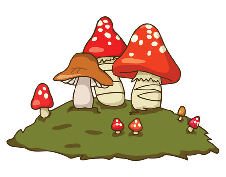 Group of edible and poisonous mushrooms.