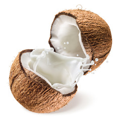 Coconut and a half with milk splash on white background