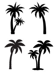 Fototapeta premium palma tropikalne drzewo zestaw ikon czarny sylwetka wektor illustratio