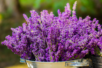 Bucket with lavender