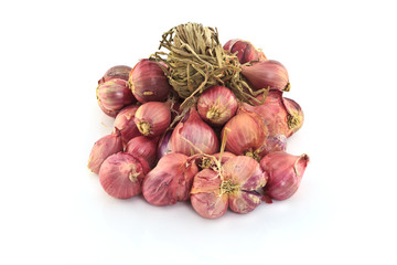 Shallot onions