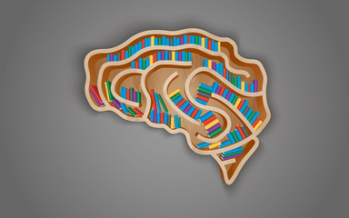 wooden shelf in the form of the brain witn books