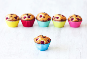 Group of delicious muffins placed on table