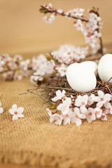 Beautiful Easter eggs in nest with floral decoration