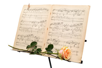 Yellow rose and an ancient music score isolated on white