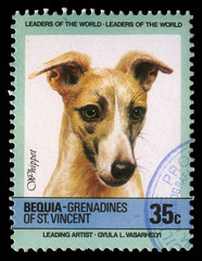 Stamp printed in Bequia shows Whippet dog, circa 1985
