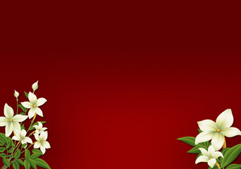 roter Hintergrund mit weissen Blüten 