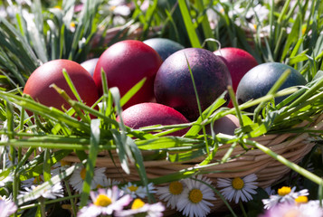 basket full with colorful eggs
