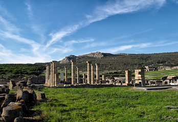 Baelo Clauida Roman Ruins. Tarifa, Cadiz, Spain