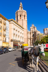 Obraz na płótnie Canvas Valencia cathedral and Miguelete in plaza de la Reina