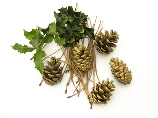 feuille automne