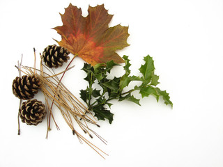 feuille automne