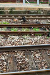 Naklejka premium Szyny torów kolejowych, Kolej pociągów