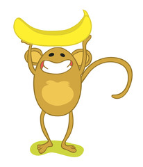 Monkey with banana