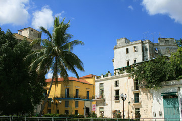 Havana