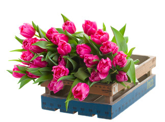 pile of  double tulips close up