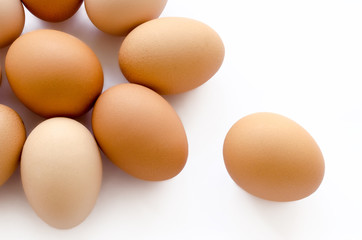 eggs