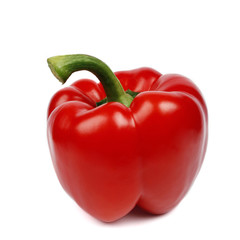 One colorful pepper