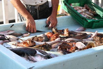 Mercato del pesce Vieux Port Marsiglia
