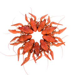 Boiled red crawfishes
