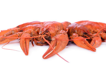 Boiled red crawfishes
