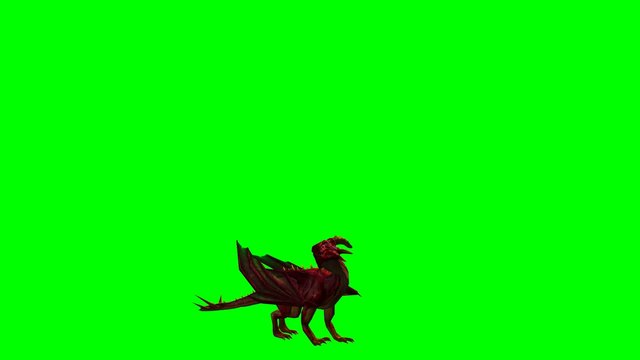 dragon animation - green screen